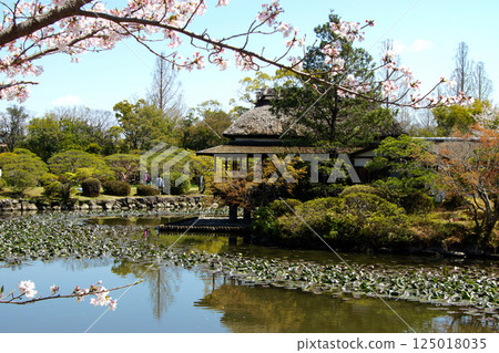 佐賀縣神野公園的春天景色（熱門旅遊景點和櫻花景點） 125018035