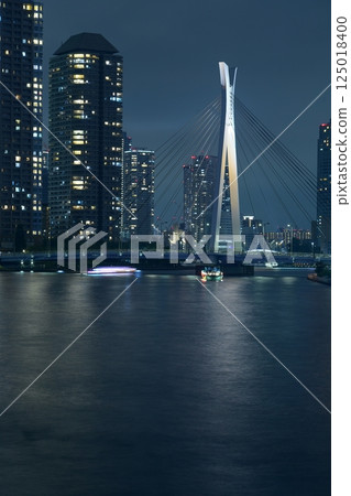 Tokyo's Sumida River night view, Chuo Ohashi Bridge 125018400