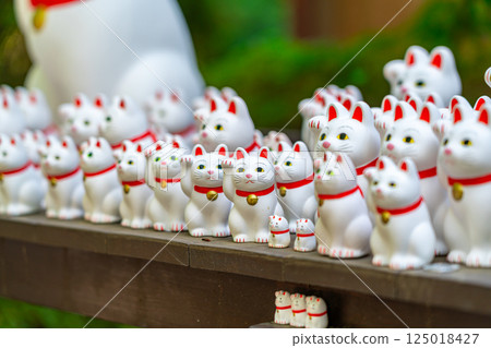 [Tokyo] Gotokuji Temple - a spectacular sight with its many maneki-neko (beckoning cats) 125018427