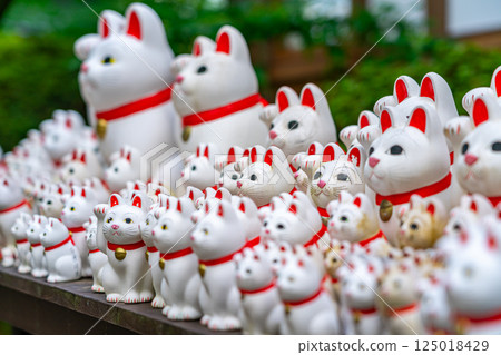 [東京] 豪德寺 - 招財貓眾多，景色壯觀 125018429