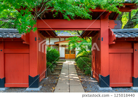 [東京] 豪德寺的紅門在夏日的綠意中顯得格外美麗 125018440
