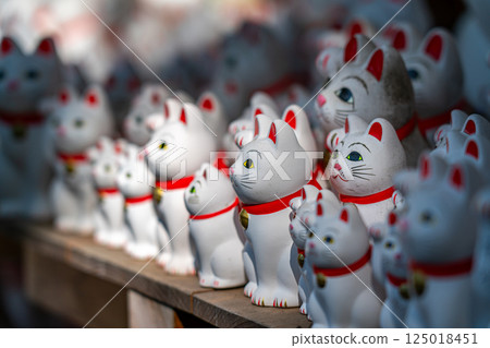 [Tokyo] Gotokuji Temple - a spectacular sight with its many maneki-neko (beckoning cats) 125018451