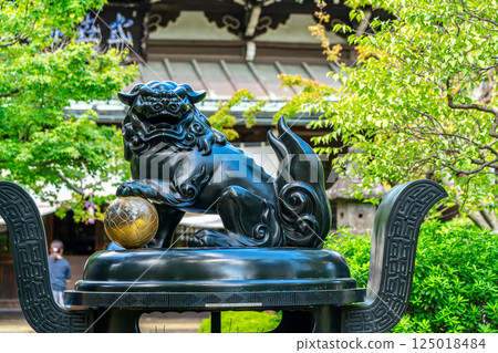 [東京] 豪德寺院內的大香爐，夏季綠意盎然，美不勝收 125018484