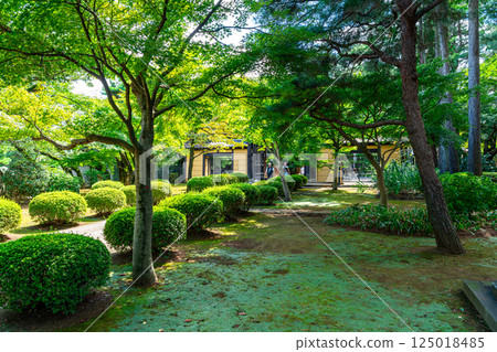 [Tokyo] The grounds of Gotokuji Temple are beautiful with summer greenery 125018485