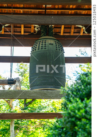 [Tokyo] Gotokuji Temple's bell is beautiful in the summer greenery 125018493