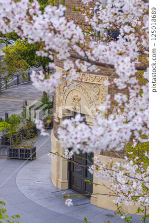 Cherry blossoms in full bloom and the brick wall of Daibiru Main Building Cherry blossoms in full bloom and the brick wall of Daibiru Main Building 125018689