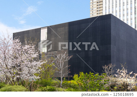 Nakanoshima Museum of Art, Osaka and cherry blossoms in full bloom Nakanoshima Museum of Art, Osaka and cherry blossoms in full bloom 125018695