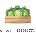 Cabbage in a box 125018773