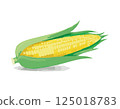 Fresh corn 125018783