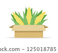corn in a box 125018785