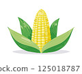 Illustration of corn 125018787