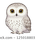 Simple and cute owl illustration 125018803