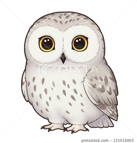 簡單可愛的貓頭鷹插圖 125018803