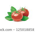 Basil and tomato 125018858