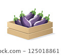 Eggplant in a box 125018861