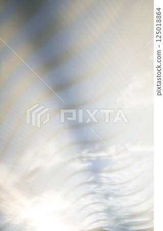 Scenery of summer sunlight shining through the shade Scenery of summer sunlight shining through the shade 125018864