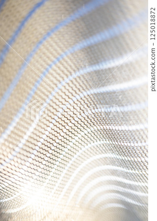 Scenery of summer sunlight shining through the shade Scenery of summer sunlight shining through the shade 125018872