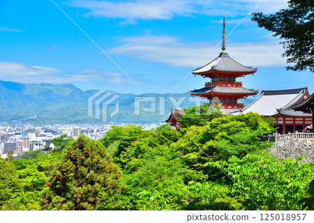 京都清水寺的翠綠令人眼花撩亂 京都清水寺的翠綠令人眼花撩亂 125018957
