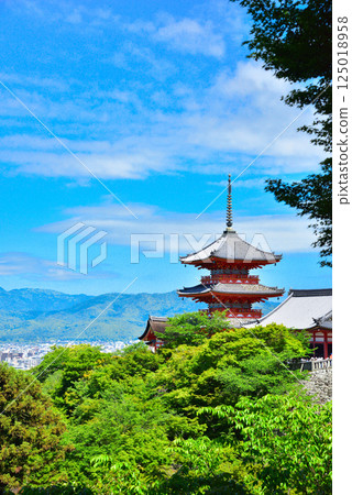 京都清水寺的翠綠令人眼花撩亂 京都清水寺的翠綠令人眼花撩亂 125018958