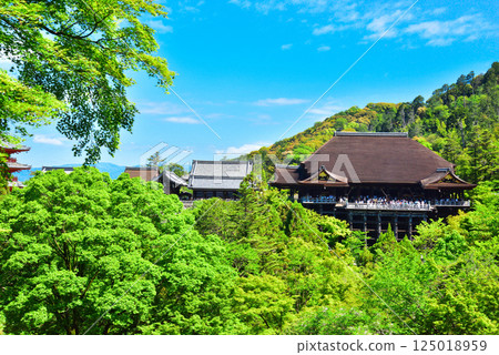 京都清水寺的翠綠令人眼花撩亂 125018959