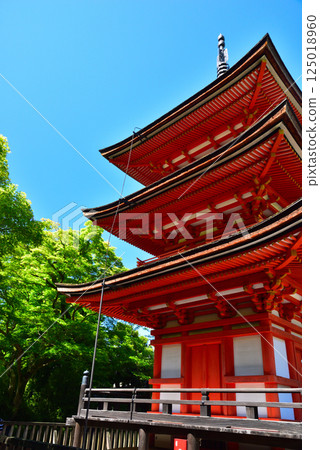 京都清水寺的翠綠令人眼花撩亂 京都清水寺的翠綠令人眼花撩亂 125018960