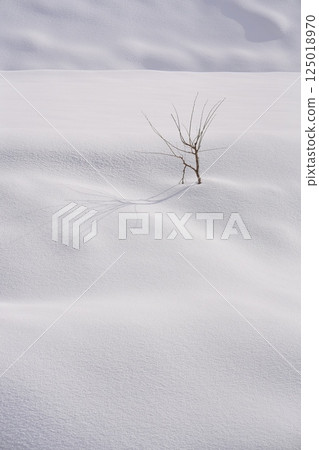 純白的雪景 125018970