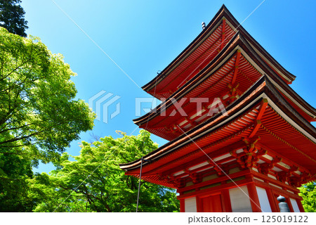 京都清水寺的翠綠令人眼花撩亂 125019122