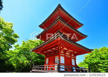 The dazzling fresh greenery of Kiyomizu-dera Temple in Kyoto 125019123