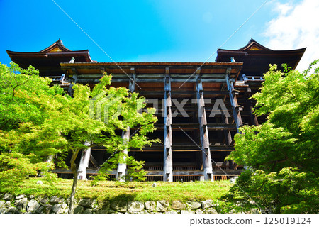 京都清水寺的翠綠令人眼花撩亂 125019124