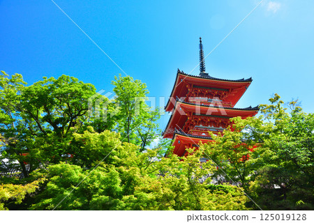 京都清水寺的翠綠令人眼花撩亂 125019128