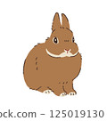 Rabbit  125019130