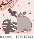 Cherry Blossoms	 125019133