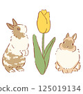 Tulip 125019134