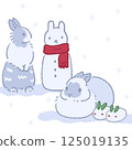 snow          125019135