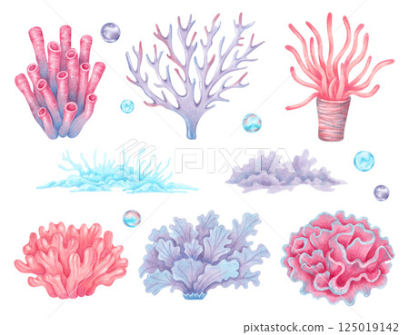 Set of sea corals with bubbles. Colorful ocean coral reefs. Watercolor illustration. Hand drawn isolated art. Underwater seabed animal for kids room, shower, guidebook design. Nature ecosystem 125019142