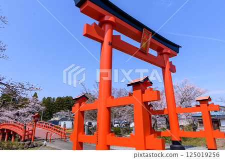 福島縣相馬市的鈴丘八幡神社和櫻花 125019256