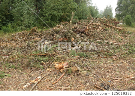 A plot of land cleared of trees and bushes 125019352