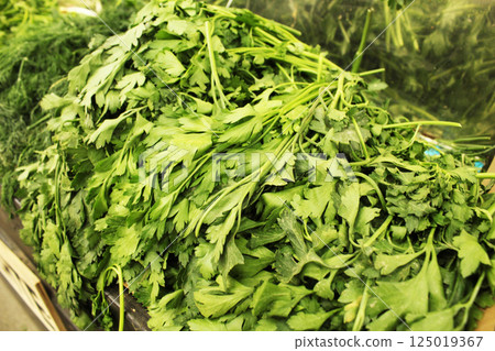 Green parsley background, general plan. Green Background Green parsley background, general plan. Green Background 125019367