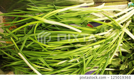 Green onions Onion feathers in the middle ground. Green Edible Background 125019368