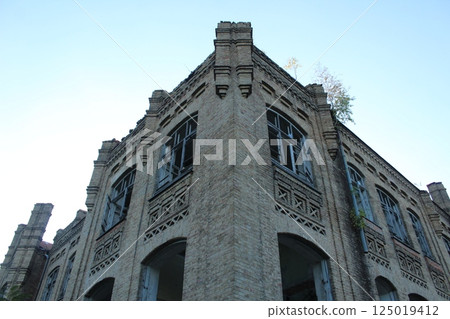 An old building overgrown with bushes and trees. Abandoned houses 125019412