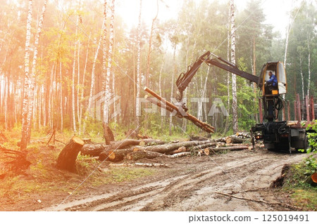 Harvesting ripe wood with a tractor. Equipment for working in difficult conditions 125019491