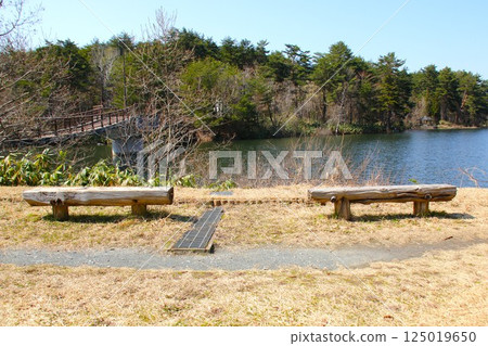 [Aomori City, Aomori Prefecture] Benches at Nogiwa Park and Lake Nogiwa 125019650