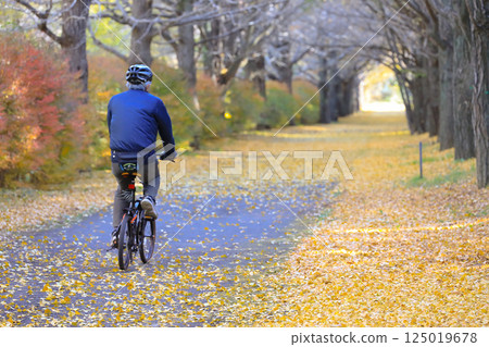 Cycling Through Autumn Forest on a Path Covered in Yellow Leaves Dec 4 2024 125019678