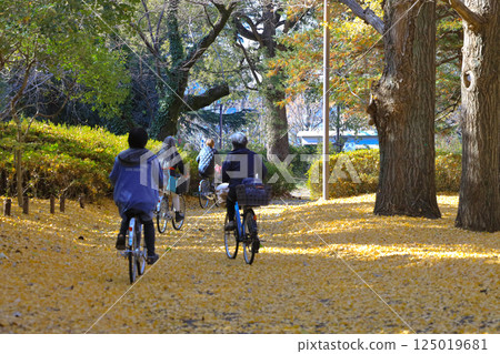 Cycling Through Autumn Forest on a Path Covered in Yellow Leaves Dec 4 2024 125019681