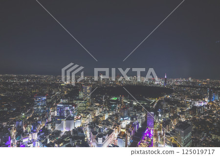 View of City at Dusk with Illuminated Buildings and Traffic, Tokyo Dec 4 2024 125019717