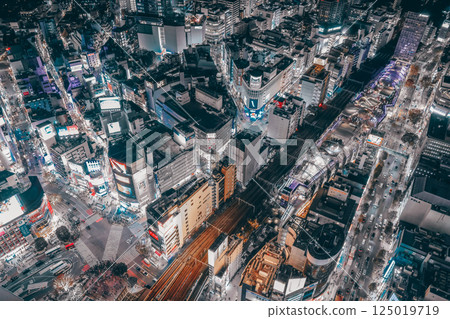 Night View of Tokyo City with Illuminated Buildings and Skyline, Tokyo Dec 4 2024 Night View of Tokyo City with Illuminated Buildings and Skyline, Tokyo Dec 4 2024 125019719