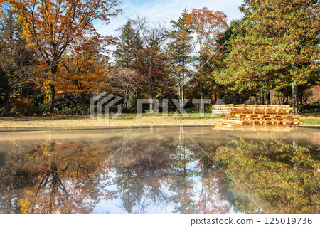 Serene Japanese Garden Landscape with Reflective Pond Dec 4 2024 Serene Japanese Garden Landscape with Reflective Pond Dec 4 2024 125019736