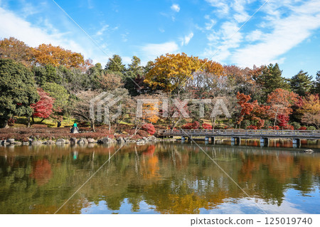 Serene Japanese Garden Landscape with Reflective Pond Dec 4 2024 125019740