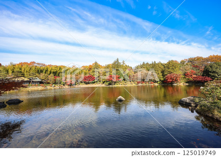 Serene Japanese Garden Landscape with Reflective Pond Dec 4 2024 125019749