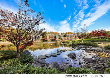 Serene Japanese Garden Landscape with Reflective Pond Dec 4 2024 125019750